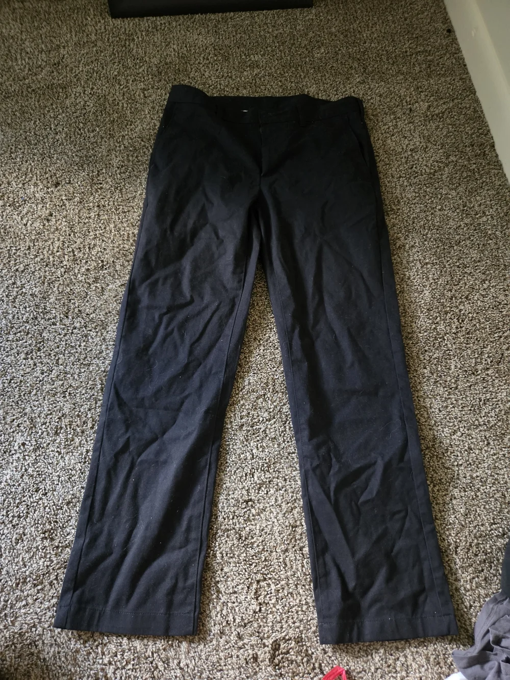 Egara worn once